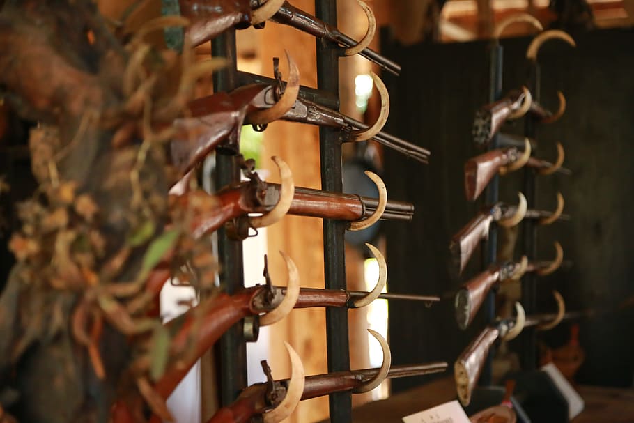 Ogden Valley, Utah Gun Room